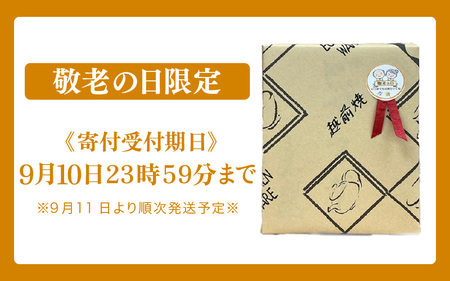 【敬老の日限定】越前焼 ビアマグ 志野 桐箱入り 光窯「陶土証明書あり」焼酎カップ マグカップ 万能カップ 福井県越前町 【2025年9月12日より順次発送】【敬老の日 コーヒーカップ お茶カップ 食