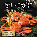 【ふるさと納税】【冷蔵・年内配送可】越前がに(メス)「せいこがに」 150g前後〜220g前後 3杯〜10杯 正規 訳あり選択 / 送料 無料 福井県 越前市 武生 かに カニ 蟹 越前かに 越前ガニ 越前カニ ズワイガニ 雌 年内配送（18209）