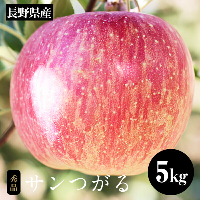 【ふるさと納税】 りんご の 一番手! 長野県産 りんご サンつがる 約5kg 秀品 〈2025年9月上旬〜9月中旬発送〉| 果物 くだもの フルーツ りんご 林檎 リンゴ 長野県 信州 南信州 飯田市 B14