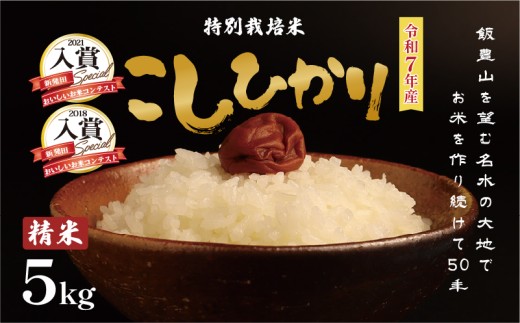 令和7年産 特別栽培米コシヒカリ 白米 5kg  減農薬 特栽米 新潟県産コシヒカリ 新潟米 新発田産 新潟 米 させ農園 新潟県 新発田市 sase001_01