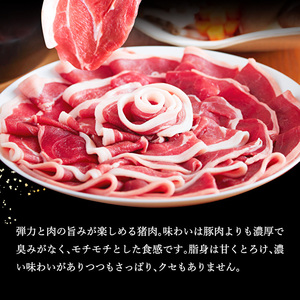 ぼたん鍋 セット 5～6人前[ 鍋 ジビエ 猪肉 ] お肉 味噌 みそ いのしし ぼたん味噌