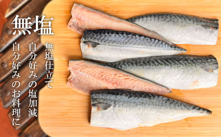 サバ 金華さば 半身20枚 無塩鯖 塩竈市 三波食品
