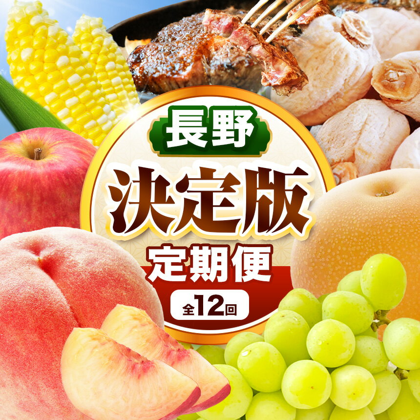 【ふるさと納税】 飯田市 定期便【決定版】| フルーツ 果物 お菓子 スイーツ 肉 焼肉 干し柿 市田柿 野菜 とうもろこし 桃 梨 りんご シャインマスカット 信州 詰め合わせ セット 定期 長野県 飯田市