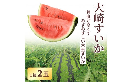 ＜２０２５年収穫分　先行予約＞大崎すいか　１箱