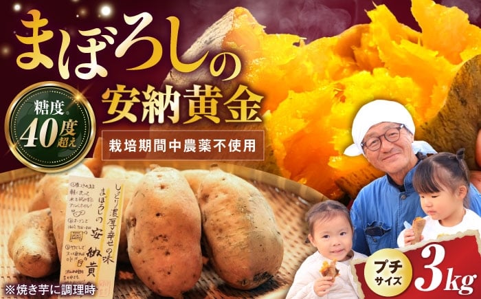 
            【熟成】プチサイズ安納黄金 3kg 滋賀県長浜市/好作豊吉 [AQCF004] さつまいも サツマイモ さつま芋 焼き芋 やきいも スイーツ 甘い とろとろ 薩摩芋 デザート 甘芋 スイートポテト sweet potato 蜜 蜜芋 芋 イモ
          