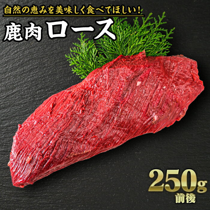 【ふるさと納税】ジビエ 鹿肉 ロース 250g｜サステナブル SDGs 新鮮 低カロリー ヘルシー 熟成 ステーキ 焼肉 シカ 小分け YZ-4