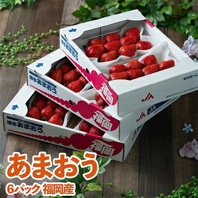 【ふるさと納税】酸味と甘みの絶妙なバランス・冬あまおう6パック(大牟田市)【配送不可地域：離島・北海道・沖縄県】【1226662】