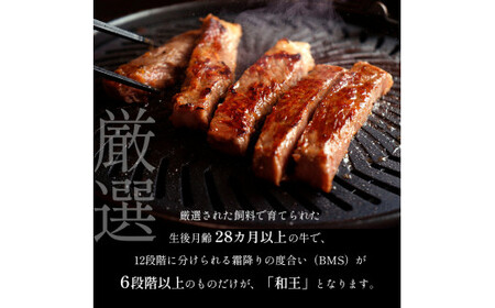 熊本県産 Ａ5等級 和王 柔らか 赤身 焼肉 900g