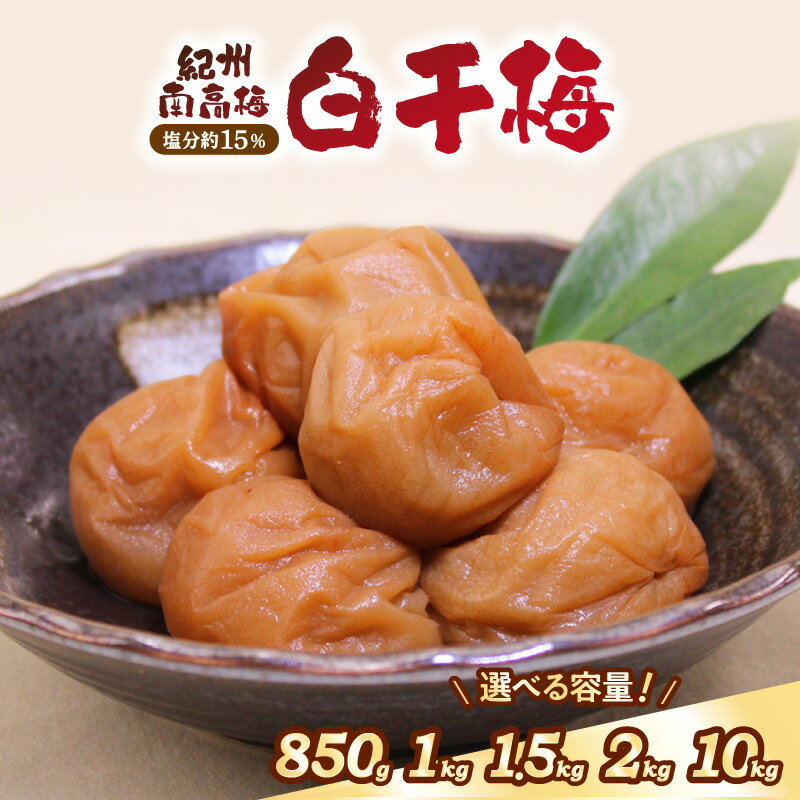 【ふるさと納税】紀州南高梅使用 白干梅(塩分15%)(和歌山県産)850g 1kg 1.5kg 2kg 10kg 梅干し 梅干 うめぼし 送料無料 ふるさと納税 梅干し