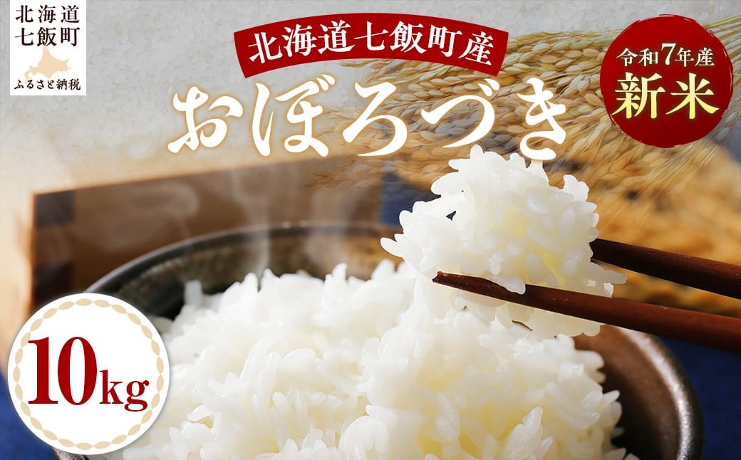 
            【2025年10月以降発送】令和7年産おぼろづき10kg 【 ふるさと納税 人気 おすすめ ランキング おぼろづき 米 白米 精米 10kg 北海道産 北海道 七飯町 送料無料 】 NABH007
          