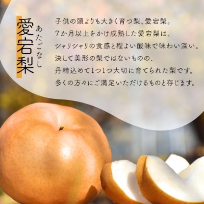 【きよとうファーム】あたご梨 上級品 2玉入(1kg級/玉)(岡山県産)【1559830】