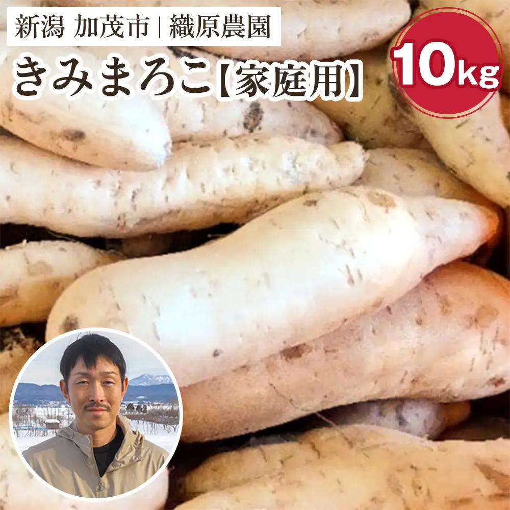 【家庭用】新潟県 加茂市産 きみまろこ 10kg 《11月上旬～順次発送》 さつまいも サツマイモ 熟成 甘い 芋 焼き芋 天ぷら スイートポテトに！ 加茂市 織原農園 