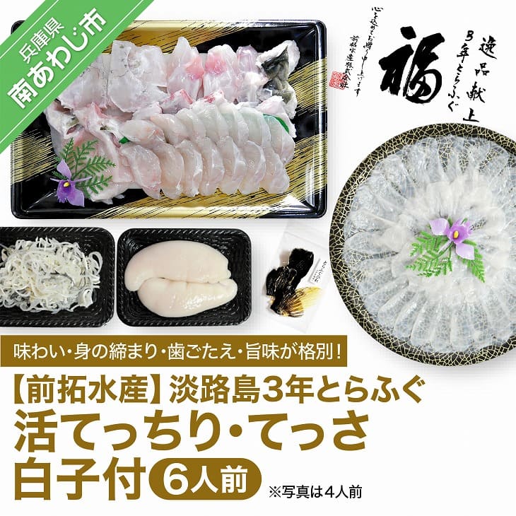 【ふるさと納税】【冷蔵】淡路島3年とらふぐ（活てっちり・てっさ／白子付6人前）◆配送12月1日～2月28日