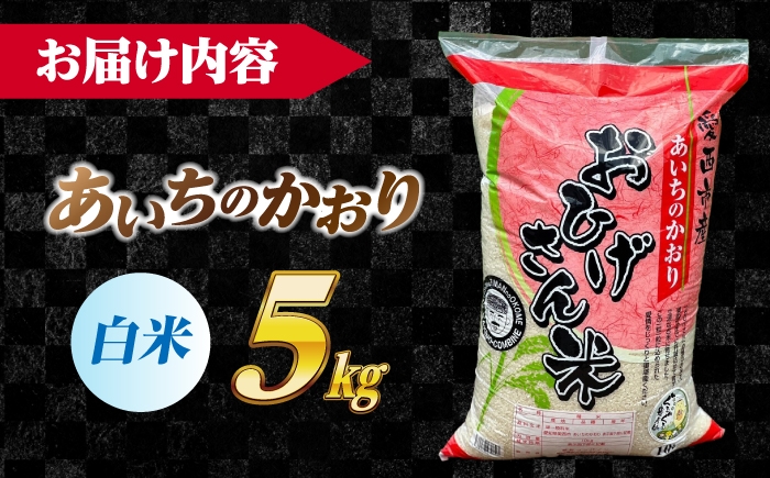 米 お米 5kg 5キロ 白米 精米 愛知県産 国産 米 あいちのかおり