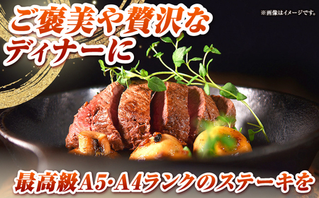 【全6回定期便】長崎和牛 希少部位 赤身 ステーキ 200g×4 《壱岐市》【KRAZY MEAT】 和牛 肉 牛肉 BBQ 冷凍 A5 A4[JER114]