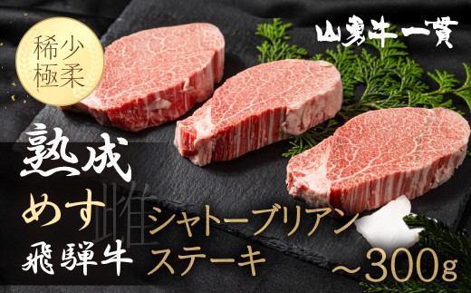 
                  熟成めす飛騨牛【山勇牛】シャトーブリアン ステーキ　選べる 200g 300g 30日以上熟成 ステーキ 肉 和牛 熟成 熟成肉 熨斗掛け ギフト冷凍 飛騨市 ステーキ お祝い パーティー 高級
                