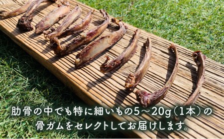 6回定期便　超小型犬向け☆天然いのししのスモーク骨ガム100g わんこin食堂/吉野ヶ里町[FCG063]