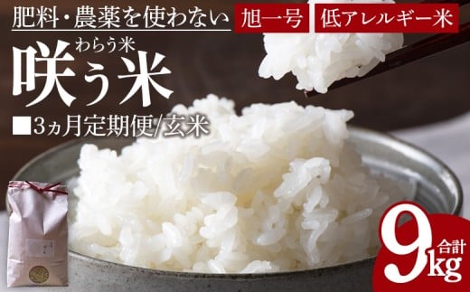★令和7年産★＜3ヵ月定期便「咲う米」（わらう米・自家採取旭一号）玄米 3kg＞ 【 米 コメ お米 精米 自然栽培 低糖質米 ふっくら 朝ごはん 昼食 おにぎり ご飯 飯 ランチ 主食 】入金確認後、翌月末までに第一回目配送