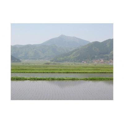 ふるさと納税 山口市 無洗米阿東のコシヒカリ5kg×2袋(白米) C119 |  | 01