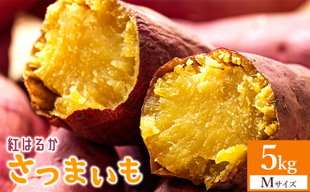 【紅はるか】さつまいも Mサイズ 5kg【さつまいも 香南市産さつまいも おすすめさつまいも 甘いさつまいも 人気さつまいも さつまいも 期間限定さつまいも】 at-0008