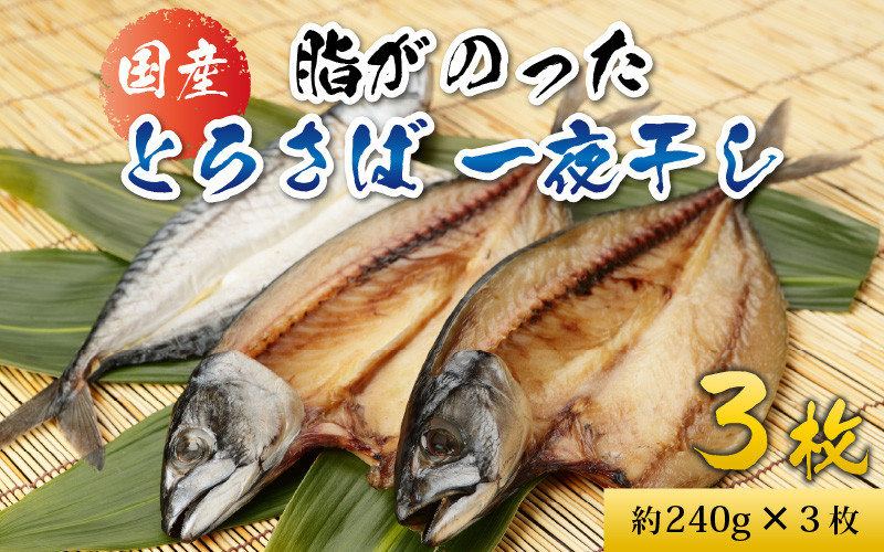 
            脂がのった 国産とろさば一夜干し 3枚 鯖 サバ さへい 河野 越前 福井 北陸 南越前町
          
