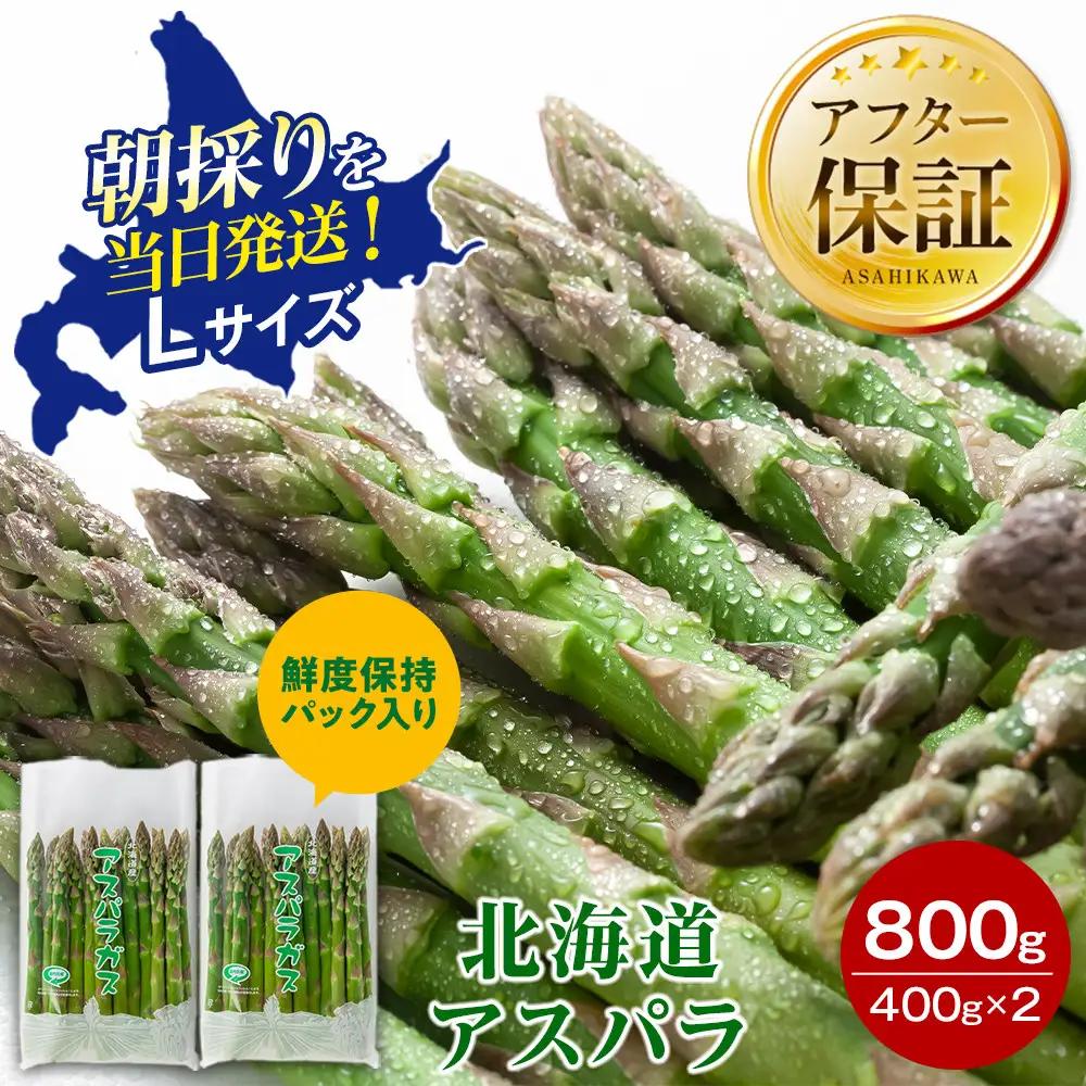 【2027年先行予約】露地物朝採りアスパラ　鮮度保持フィルム入り　Lサイズ　400g×2　合計800g（5月中旬発送開始予定）| アスパラ 北海道 _03818