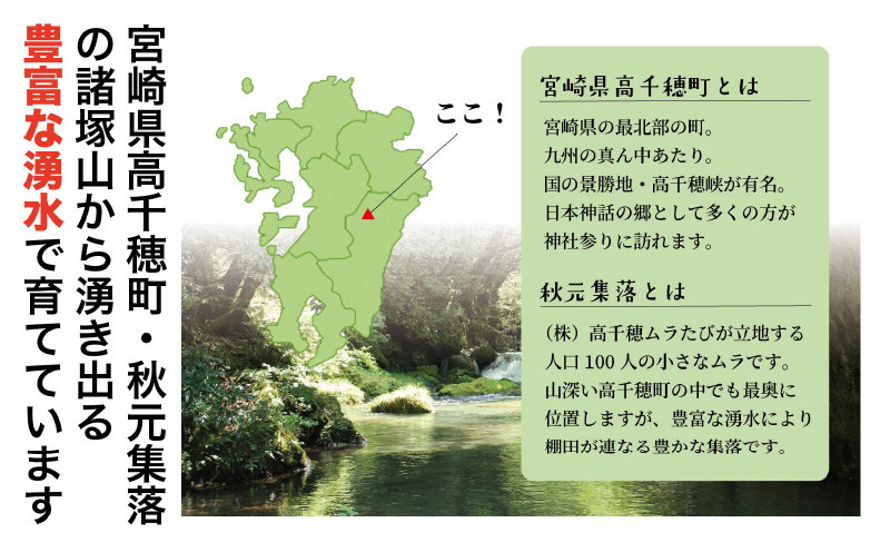 【定期便】宮崎県高千穂町[秋元産］いろは米　棚田米　白米　新米　ひのひかり　5㎏×6ヶ月　合計30kg　T-1