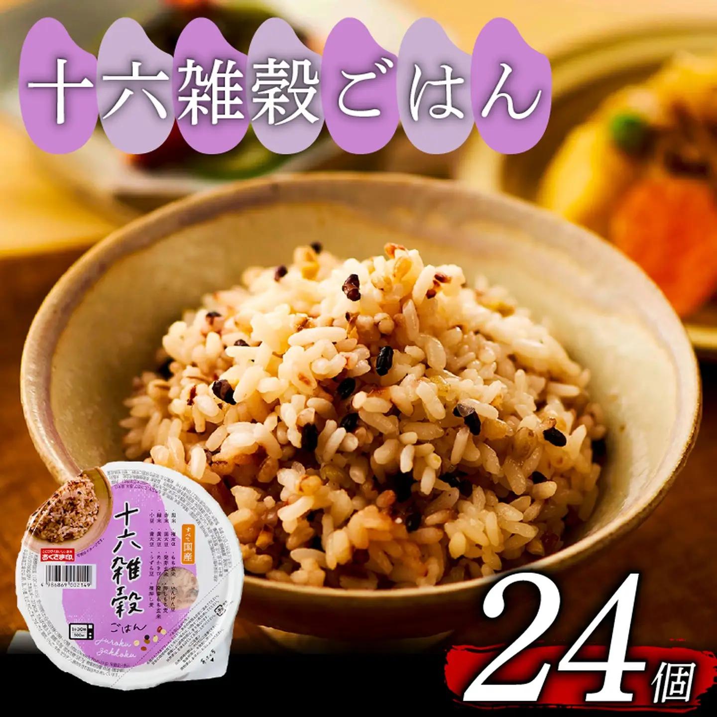 【国産100%】十六雑穀米 パックご飯 160g×24個 レンジで簡単 幸南食糧