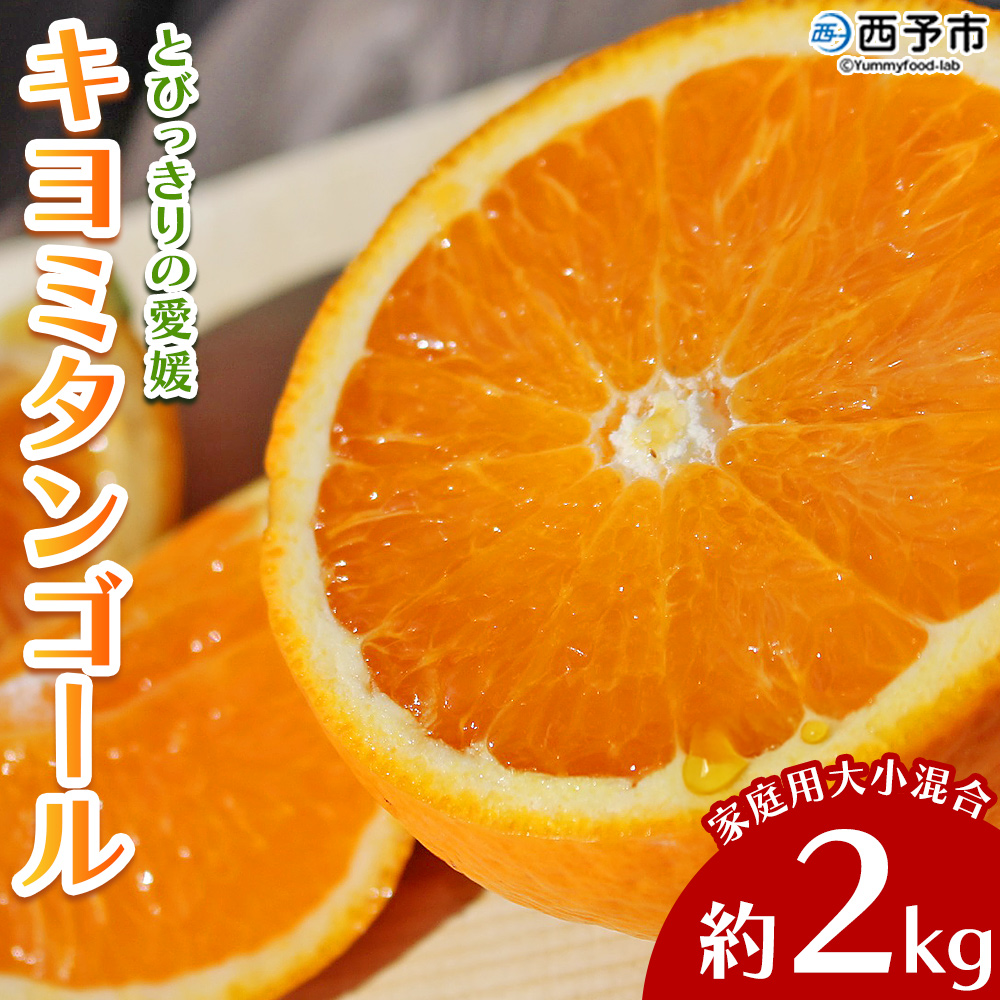 ＜とびっきりの愛媛 キヨミタンゴール 約2kg（家庭用大小混合）＞ 訳あり 家庭用 果物 柑橘 フルーツ みかん 蜜柑 オレンジ 清見タンゴール 特産品 片山果樹園 食べて応援 西宇和 愛媛県 西予市
