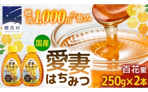 愛妻はちみつ ( 百花 ) 250g × 2個 セット はちみつ ハチミツ 国産 蜂蜜 群馬 おすすめ つまごいビーガーデン [AC004tu]