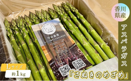 香川県産アスパラガス「さぬきのめざめ」Lサイズ　約1kg