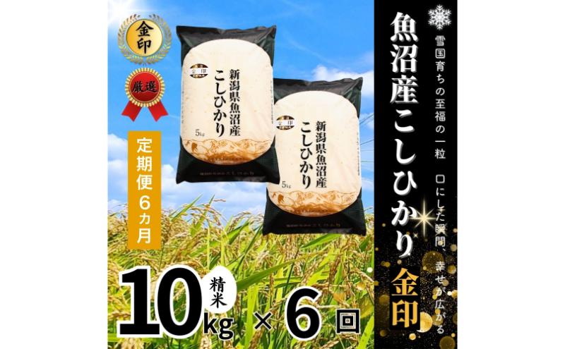 【定期便全6回毎月発送】魚沼産コシヒカリ金印(精米)10kg 米 こしひかり 定期 新潟 十日町市