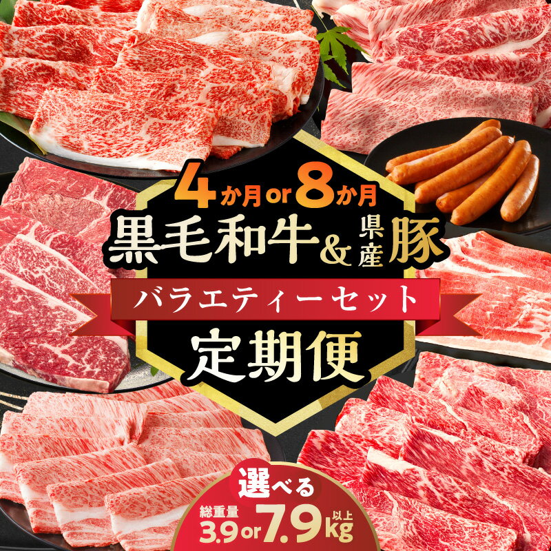 【ふるさと納税】≪選べる発送回数≫ 黒毛和牛 ＆ 県産豚バラエティー セット スライス 牛肉 牛丼 すき焼き しゃぶしゃぶ 豚肉 スライス 豚バラ 焼肉 BBQ バーベキュー 詰め合わせ 国産 人気 おすすめ ご褒美 ミヤチク 宮崎県 都農町 送料無料