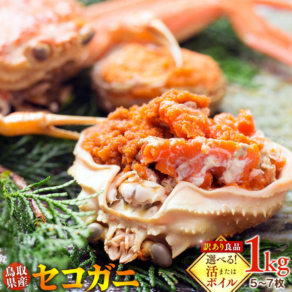 【ふるさと納税】【選べる！活またはボイル】鳥取県産 セコガニ 訳あり良品 1kg(5～7枚) | 蟹 かに せこがに せこ蟹 訳あり 家庭用 鳥取県産 北栄町 おすすめ 人気