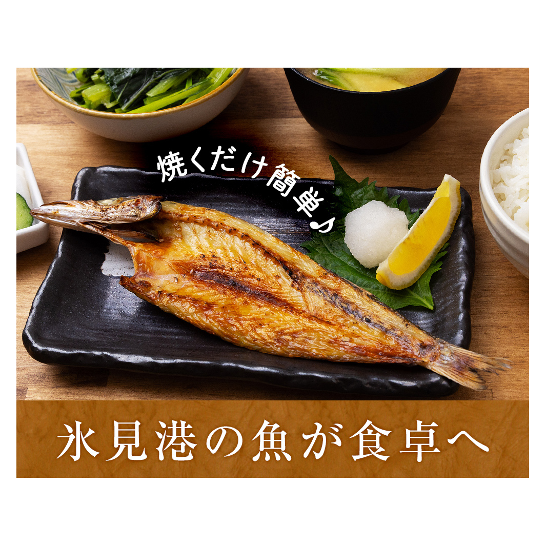 日本海氷見の幸10種！【氷見ぶり・昆布〆お刺身】鱈場おすすめ一夜干しセット 魚貝類 加工食品 魚介類 干物  西京漬け 鰤ハム カマス アジ 一夜干し 醤油 昆布締め 富山湾 氷見_イメージ5