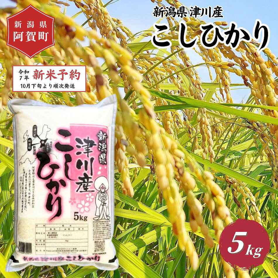 【ふるさと納税】 《新米 コシヒカリ 新潟県 津川産》 米 5kg 新潟県産 コシヒカリ 令和7年 新米 5kg × 1袋 | 白米 精米 こしひかり 送料無料 お取り寄せ お米 ※2025年10月下旬頃より順次発送