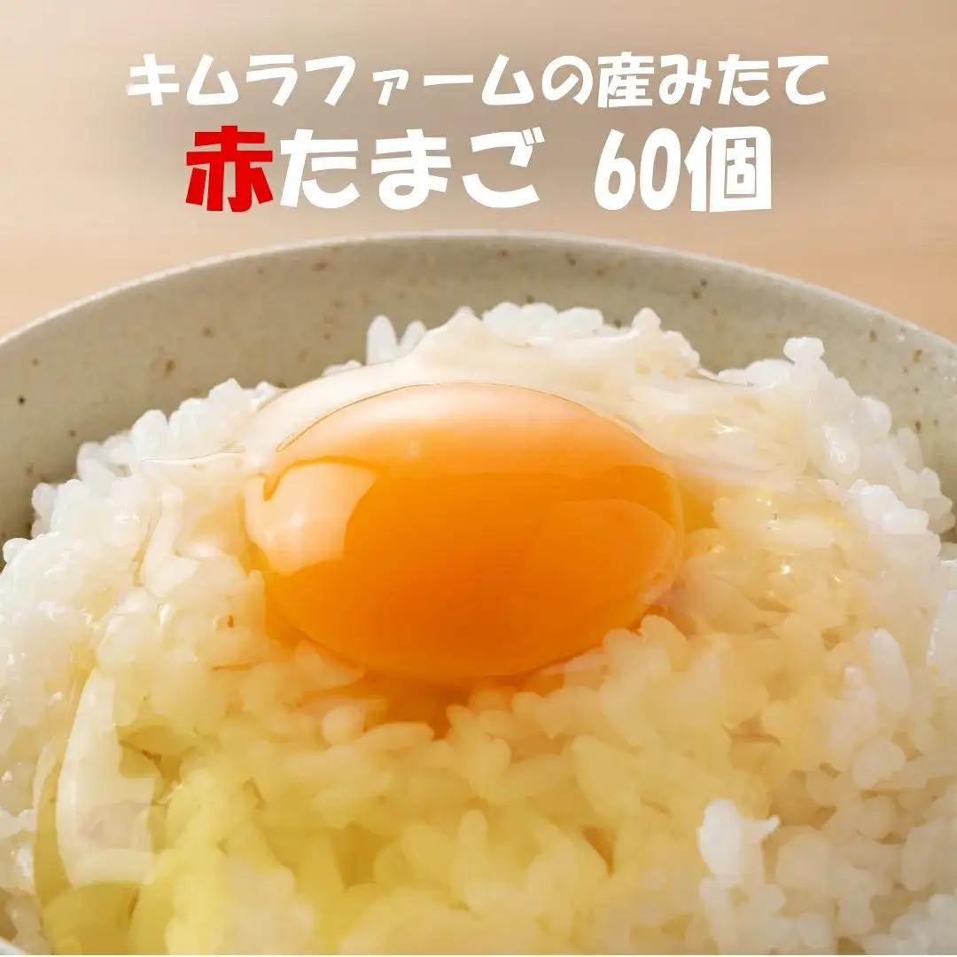 赤たまごMサイズ 60個 産みたて たまご産みたて たまご
