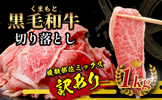 《限定増量》 くまもと黒毛和牛 切り落とし 1kg + DREAMバーグ 150g×3個 【合計1450g】