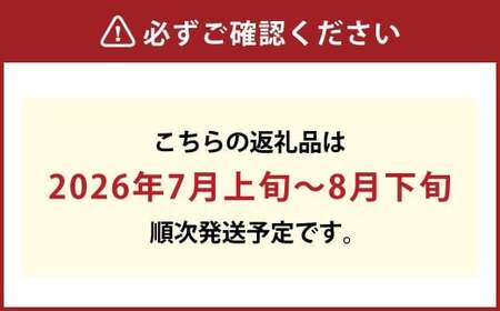 フルーツ 2024年 先行予約 果物 詰合せ 岡山 白桃 4玉 等級：ロイヤル（1玉220g以上） シャイン マスカット 晴王 1房 580g以上 ニューピオーネ 1房 580g以上  岡山県産 ギフ