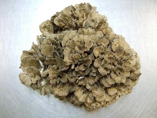 １株といっても肉厚のため食べ応え十分