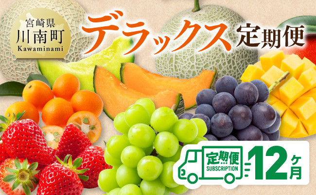 
            【 12ヶ月定期便 】 デラックス 定期便 【 川南町産 くだもの きんかん いちご 完熟 マンゴー ぶどう ピオーネ シャイン マスカット 大玉 メロン 】
          