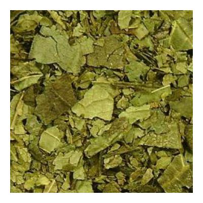 ふるさと納税 唐津市 杜仲茶24P　6箱セット |  | 02