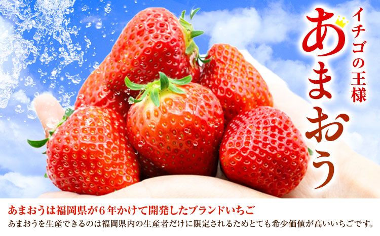 福岡県産あまおう & ふくや味の明太子 100g 南国フルーツ株式会社《1月上旬-3月末頃出荷》福岡県 小竹町 あまおう いちご めんたいこ 明太子 セット 送料無料【配送不可地域あり】---sc_c