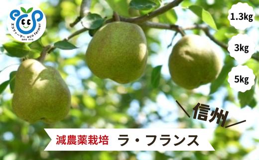 
            【信州松川町産】 洋梨 ラ・フランス 約1.3kg～約5kg ／ 10月下旬～11月下旬頃 配送予定 / 長野県 南信州  減農薬栽培 なし ナシ 洋梨 ラフランス エコファーマー認証 農家支援 HF
          