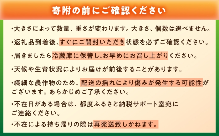 柚子 ゆず 訳あり 家庭用 果物 くだもの フルーツ 柑橘 柑橘系 薬味 新鮮 丸ごと ゆべし 柚子湯 ゆず湯 産地直送