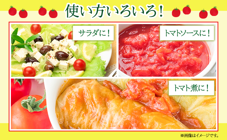ぷりうまミニトマト 1.2kg (200g × 6袋) 破損保証約100g含む トマト ミニトマト 野菜 GTOファーム 熊本県 南阿蘇村《30日以内に出荷予定(土日祝除く)》---sms_cgtom