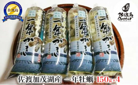【佐渡加茂湖産】一年牡蠣　むき身（150g×4袋）