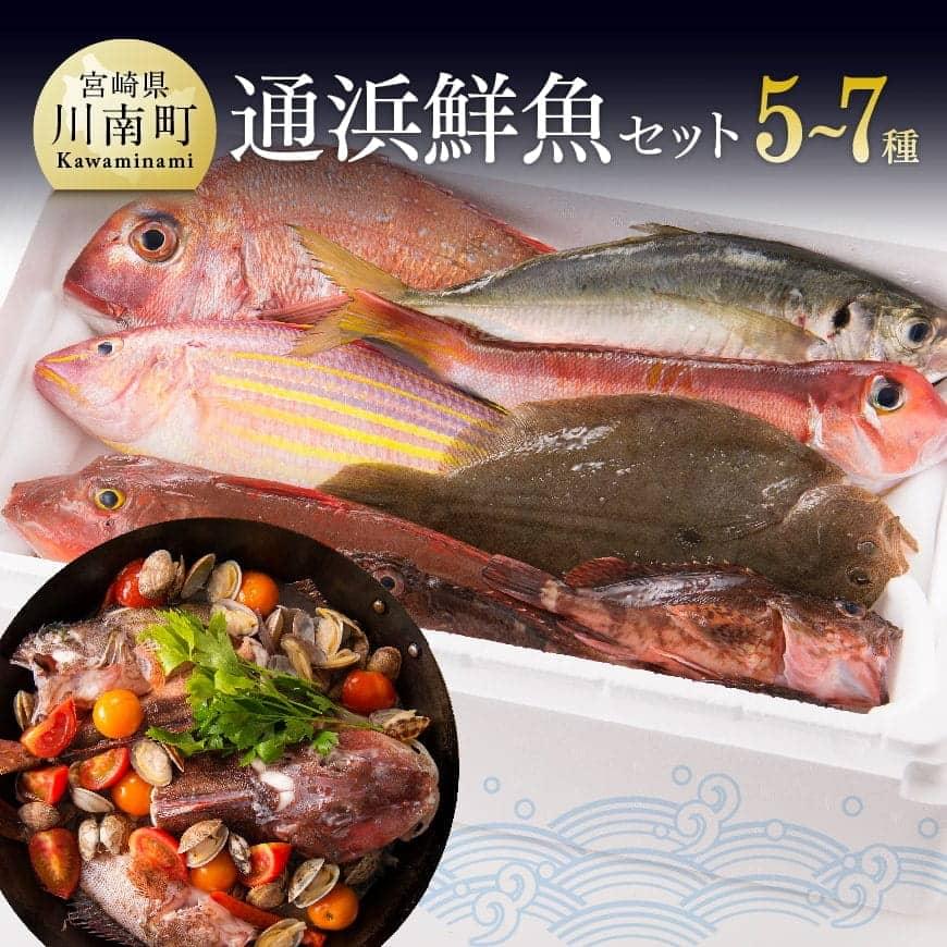 【ふるさと納税】鮮度抜群！漁協直送！人気の通浜鮮魚セット H1702 【鮮魚 魚介 セット 新鮮 漁協直送 刺身 海の幸 魚介類 】