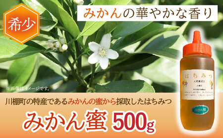 とんがり容器入りはちみつ2種(百花蜜500g＆みかん蜜500g)【小佐々養蜂場】 [OCY005] / 蜂蜜 はちみつ ハチミツ 蜂蜜 はちみつ ハチミツ 蜂蜜 はちみつ ハチミツ 蜂蜜 はちみつ ハ