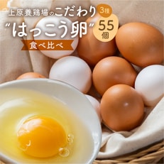 【毎月定期便】上原養鶏場のはっこう卵　3種食べ比べMS～Lサイズ 55個+破卵保障5個 全6回